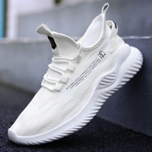 Men Summer Sports Mesh Breathable Casual Shoes