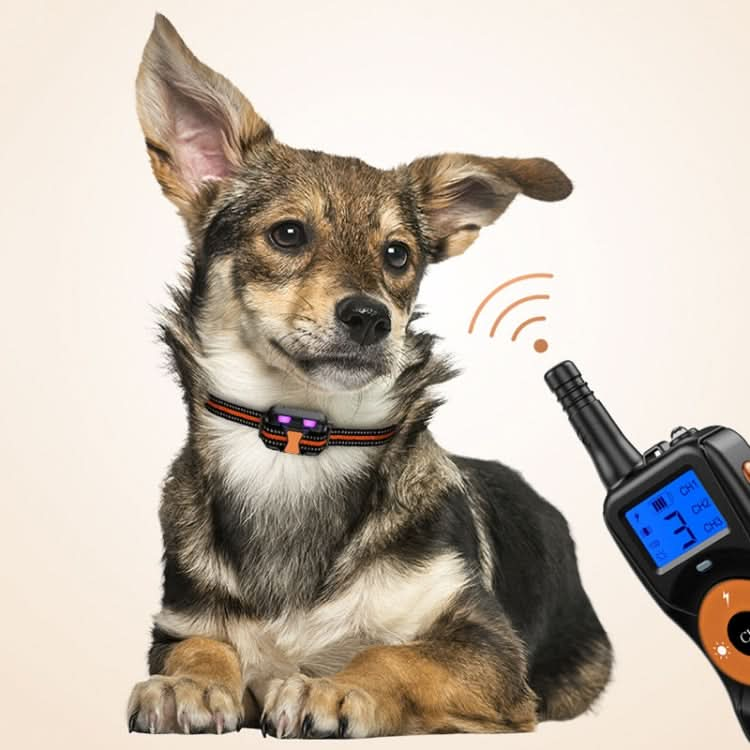 Smart Electronic Remote Control Dog Training Device Waterproof Pets Bark Stopper - Reluova