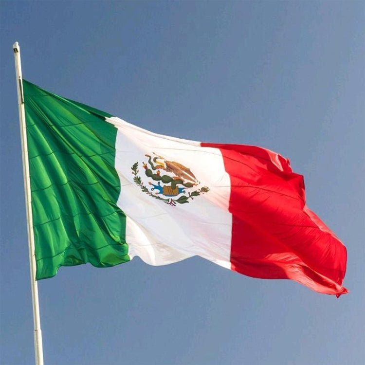 Mexican Flag No. 4 Polyester Flag My Store