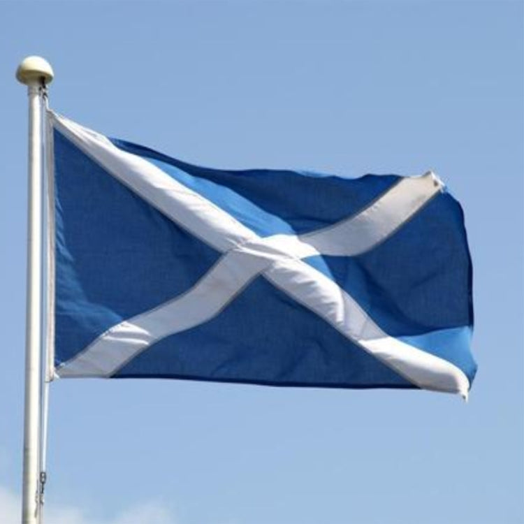 Scottish National Flag Polyester Decorative Flag My Store