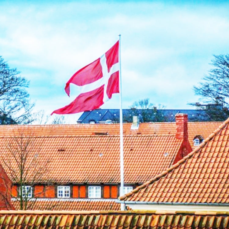 90 x 150cm Danish Flag No. 4 Polyester Flag My Store