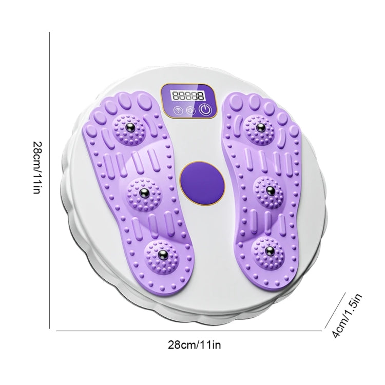 Rotating Waist Disc Twist Machine with Electronic Counter Magnetic Massage for Body Shaping