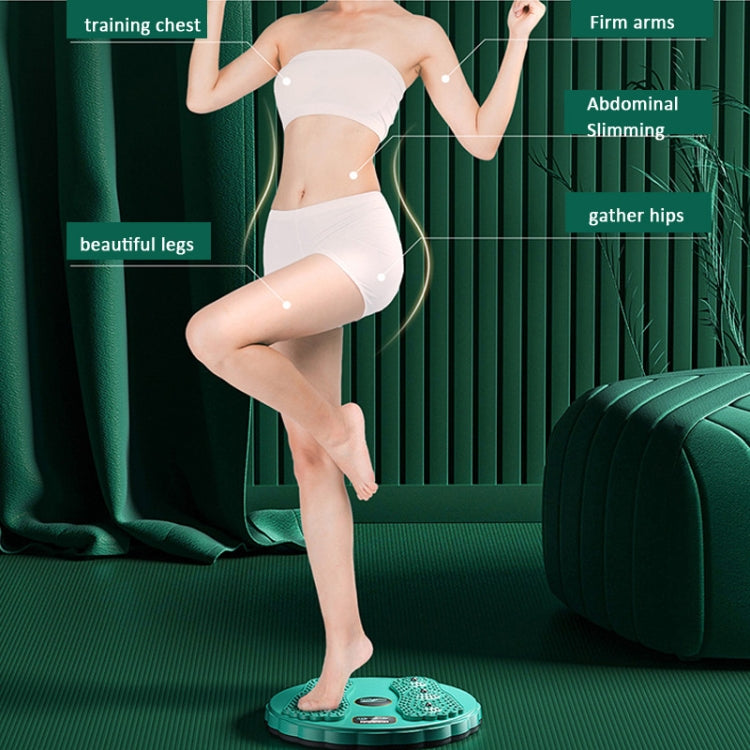 Rotating Waist Disc Twist Machine with Electronic Counter Magnetic Massage for Body Shaping