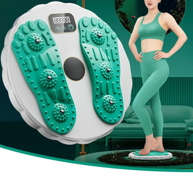 Rotating Waist Disc Twist Machine with Electronic Counter Magnetic Massage for Body Shaping Reluova