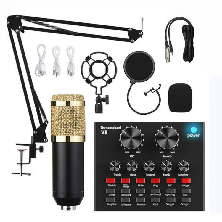 Audio Condenser Mic Studio Singing Microphone Reluova