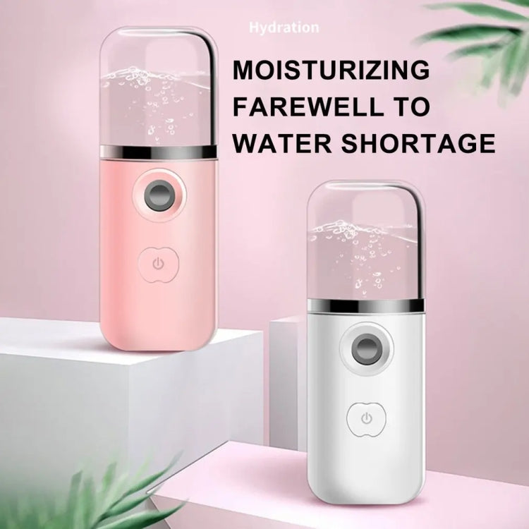 30ml Handheld Alcohol Disinfectant Instrument USB Interface Hydration Meter Humidifier My Store