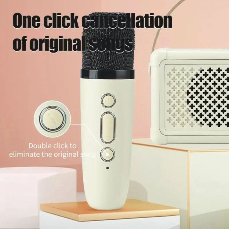 Portable Bluetooth Speaker Home Mini Karaoke Audio