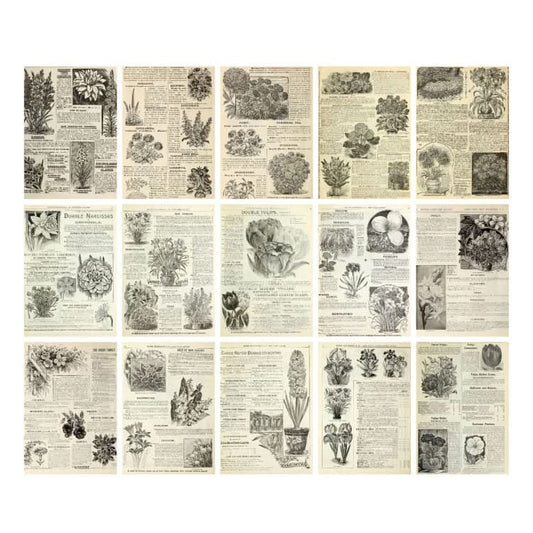 30 Sheets Scrapbook Paper Vintage Newspaper Decoration Background Sticker, Style: Herbs-Reluova