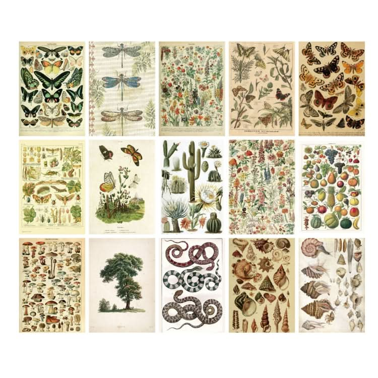 30 Sheets Scrapbook Paper Vintage Newspaper Decoration Background Sticker, Style: Everything Revives-Reluova