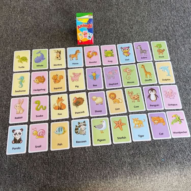 36pcs /Box Children Enlightenment Early Learning English Word Cards Reluova