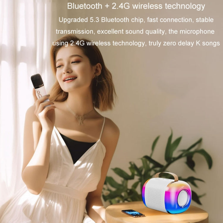 Portable Bluetooth Speaker Home And Outdoor Wireless Karaoke Audio Reluova