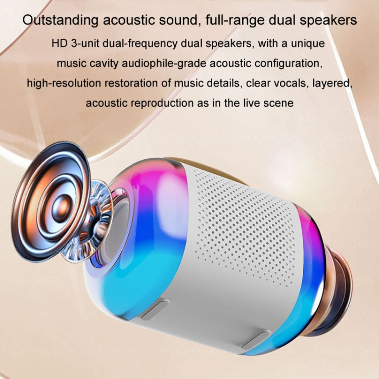 Portable Bluetooth Speaker Home And Outdoor Wireless Karaoke Audio Reluova