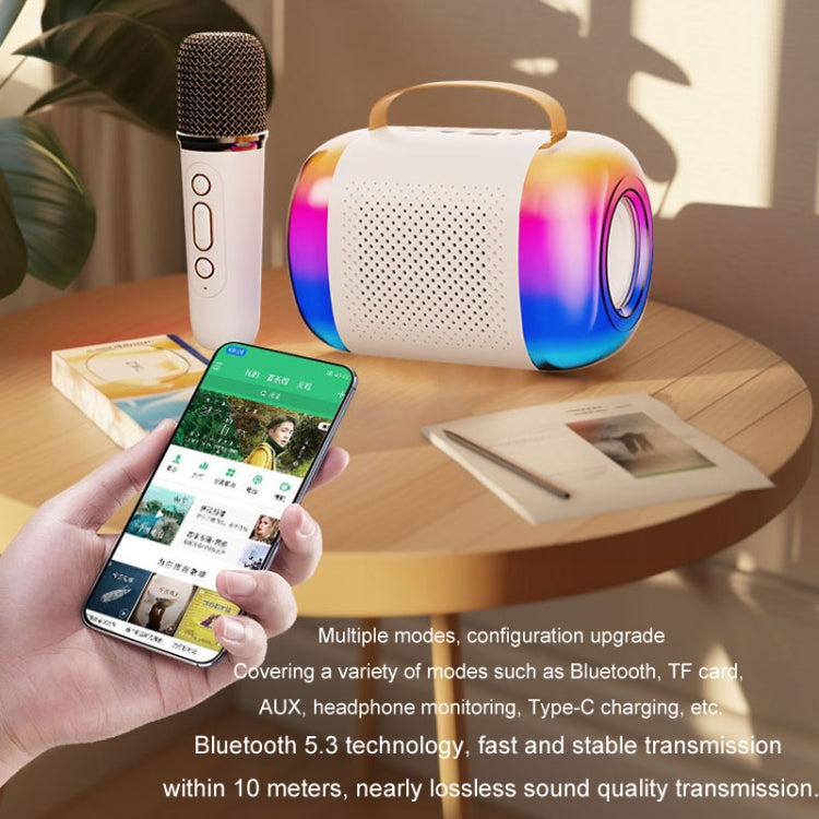 Portable Bluetooth Speaker Home And Outdoor Wireless Karaoke Audio Reluova