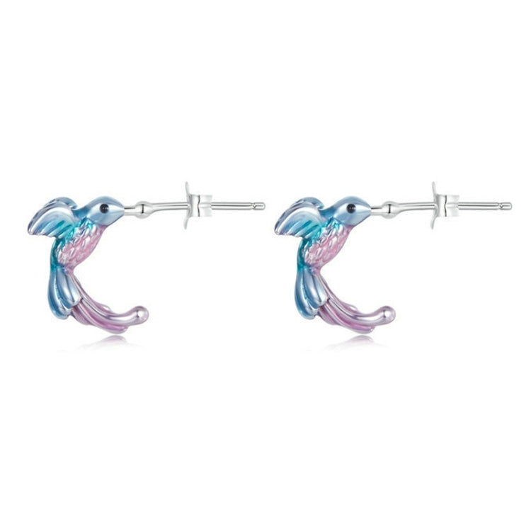 S925 Sterling Silver Platinum Plated Gradient Kingfisher Earrings My Store