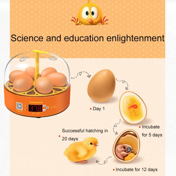 6-Eggs Small Household Experimental Children Smart Chicken Incubators, Spec: Automatic AU Plug-Reluova