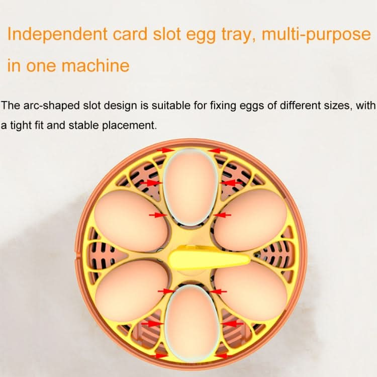 6-Eggs Small Household Experimental Children Smart Chicken Incubators, Spec: Dual-electric Automatic AU Plug-Reluova