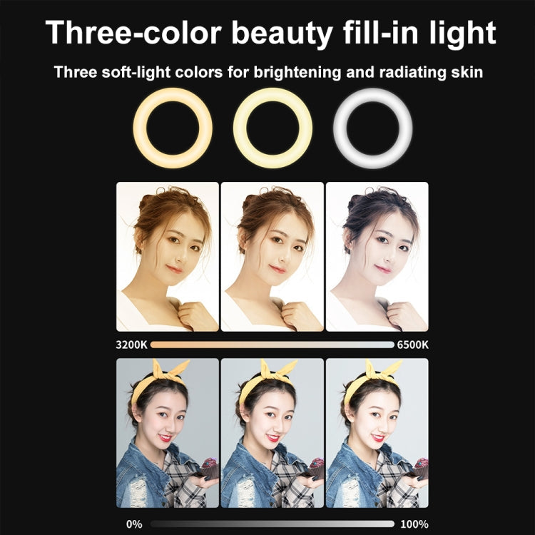 YRing48 4-Inch 48LEDs Laptop Camera Video Conference Live Beauty Ring Fill Light Reluova