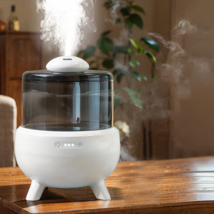 FS102 2L Ultrasonic Aromatherapy Colorful Night Light Desktop Humidifier Reluova