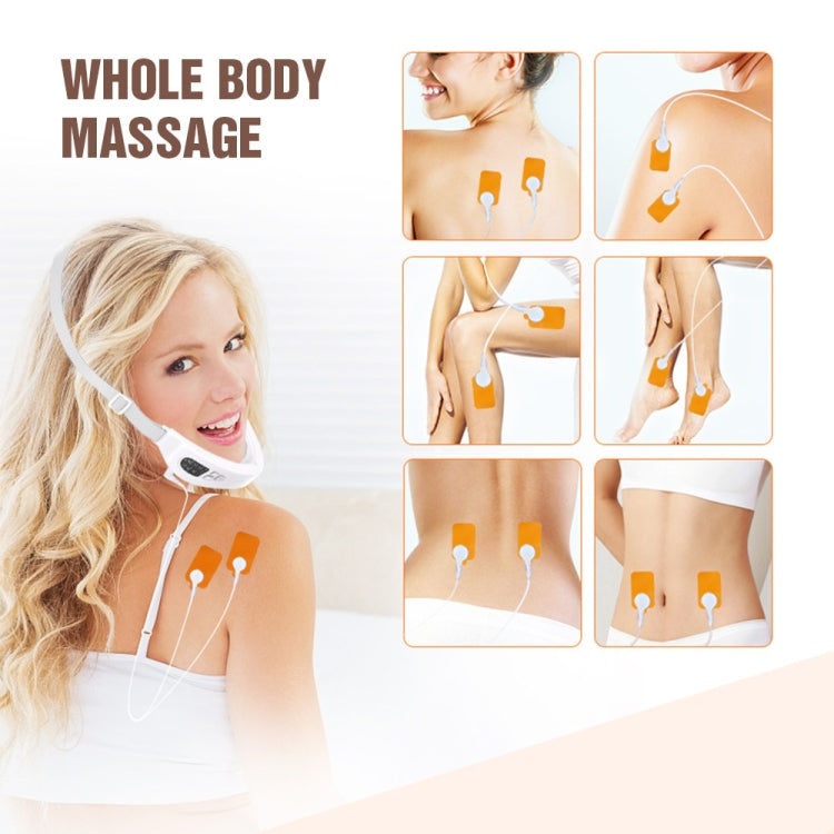 S1 EMS Microcurrent Colored Light Massage Beauty Instrument Remote Face Slimming Device My Store