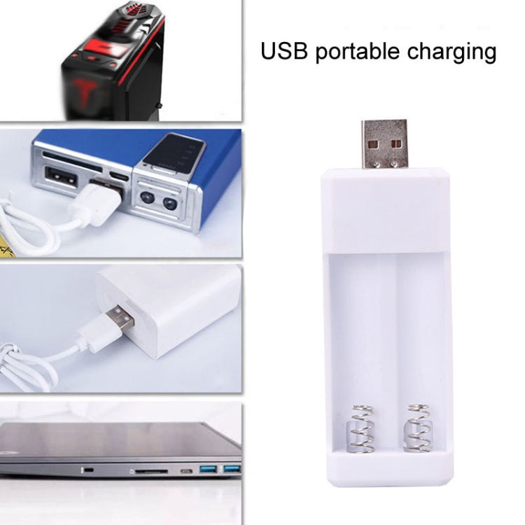 Directly Inserted 2 Slots USB AA / AAA Rechargeable Battery Charger Reluova