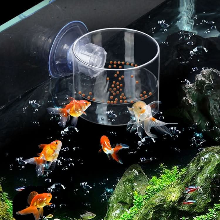 Acrylic Transparent Feeding Ring Fish Tank Feeder Floating Fixed Fish Feeder - Reluova