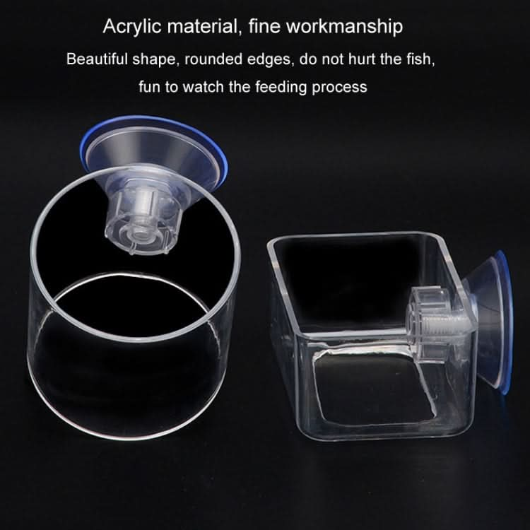 Acrylic Transparent Feeding Ring Fish Tank Feeder Floating Fixed Fish Feeder - Reluova