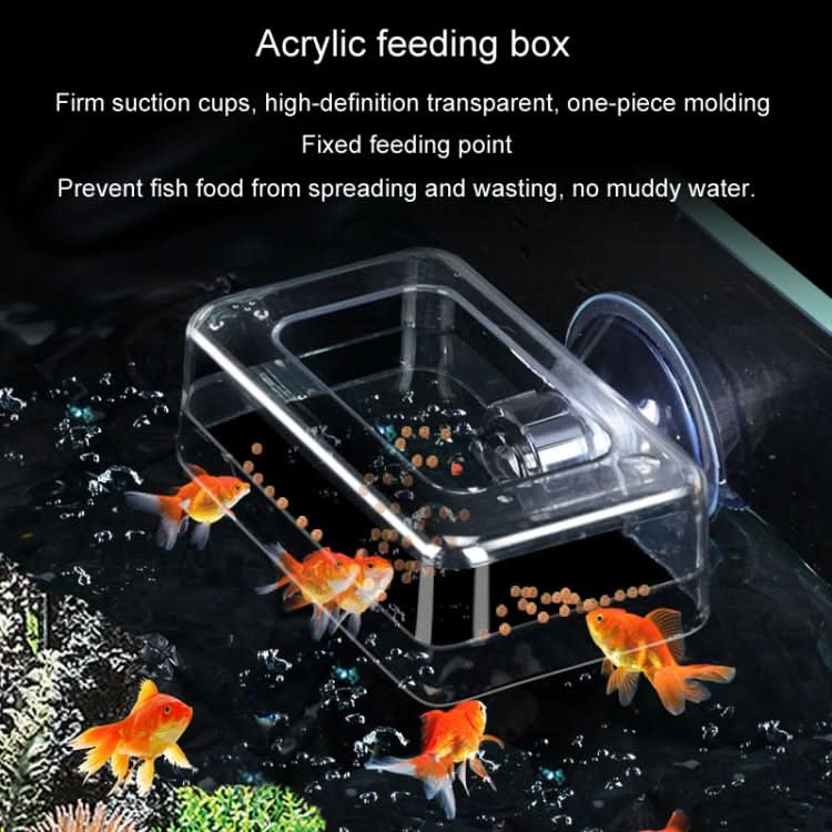 Acrylic Transparent Feeding Ring Fish Tank Feeder Floating Fixed Fish Feeder - Reluova