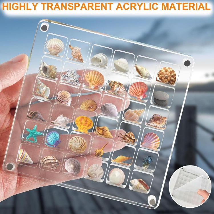 Acrylic Magnetic Seashell Storage Display Box Beads Jewelry Nail Art Storage Box My Store