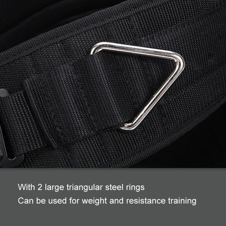 Pull Up Weighted Belt Lumbar Strength Training Double Bar Arm Extension Weighted Belt Reluova