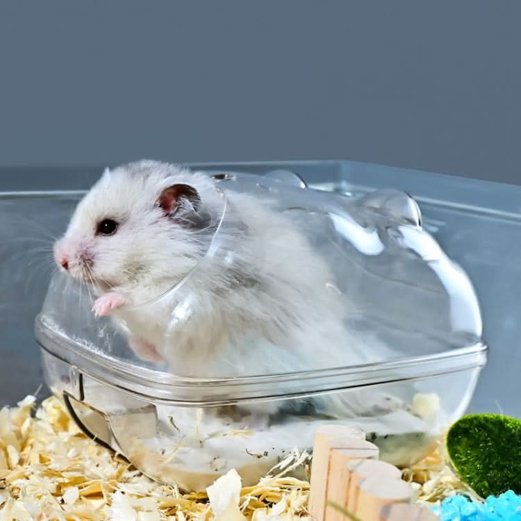 Hamster Bathroom Toilet Dual Purpose Nest Splash-proof Small Animals Golden Bear Bathtub - Reluova