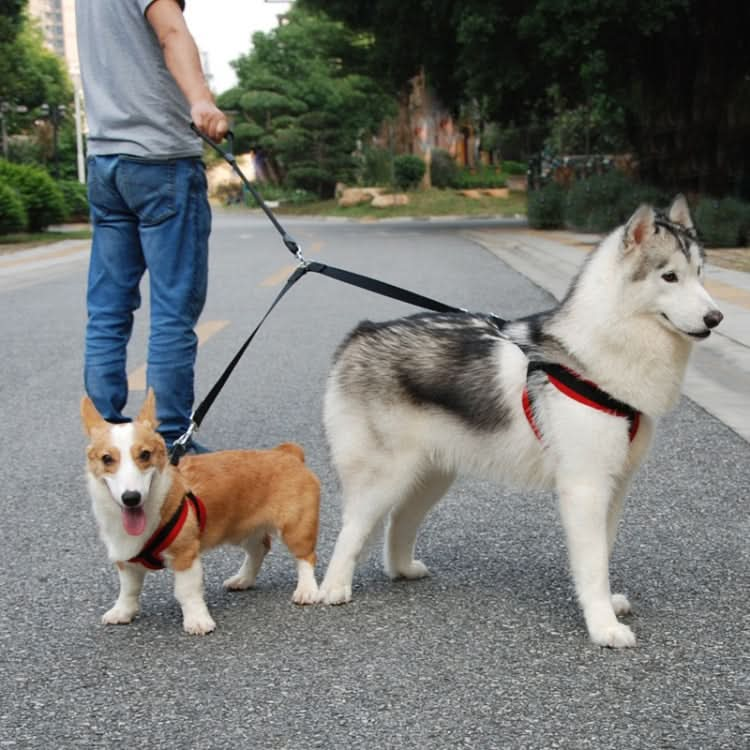 Pet Dual-Headed Tow Leash One Tow Two Hook And Loop Fastener - Reluova