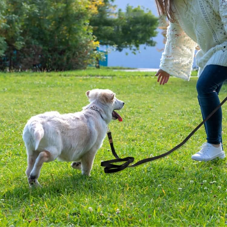 Pet Tracking Towing Leash Multifunctional Dog Walking Leashes - Reluova