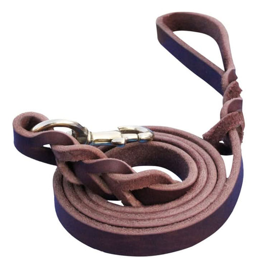 Pet Outing Cowhide Towing Leash Dog Training Harness - Reluova