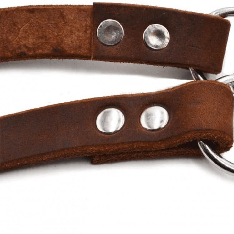 Half P Shape Pet Dog Collar Leather Dog Chain Collar - Reluova