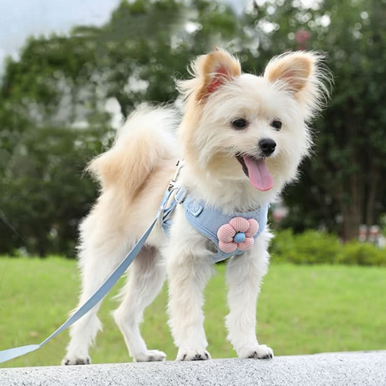 Pet Puppy Dog Leash Vest Teddy Chest Belt Chain Dog Walking Leash - Reluova