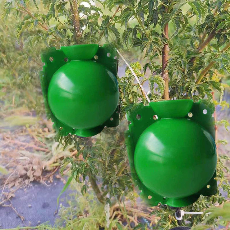 2pcs Plants Growth High Pressure Box Spherical Root Controller Grafting Root Cases My Store