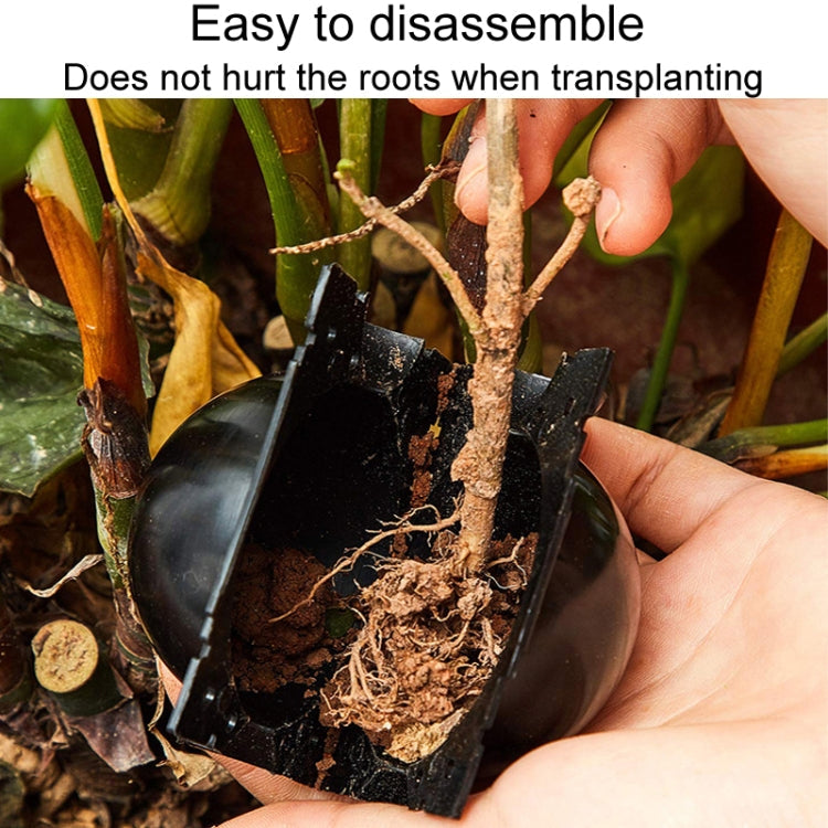 2pcs Plants Growth High Pressure Box Spherical Root Controller Grafting Root Cases My Store