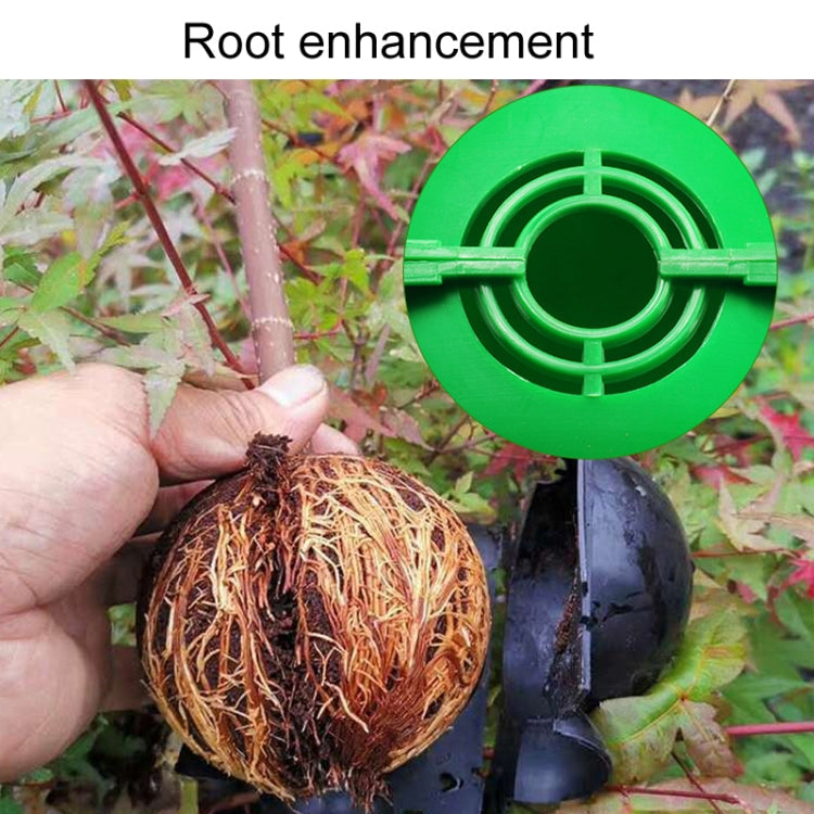 2pcs Plants Growth High Pressure Box Spherical Root Controller Grafting Root Cases My Store