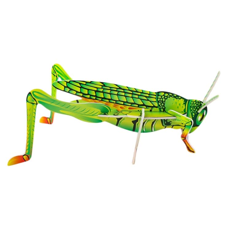 Children Insects Cognition DIY 3D Puzzle KT Board Handmade Simulation Animal Model Toys Reluova