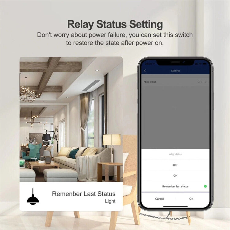 Smart Switch-Modul für Alexa/Google Home/Tuya Smart Life APP