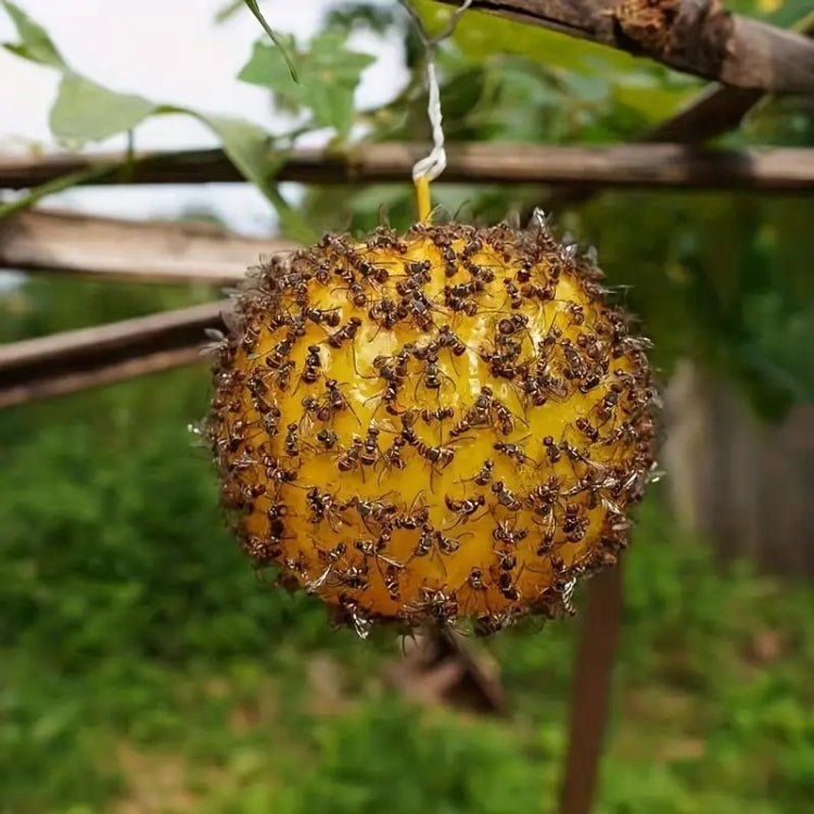 Outdoor Fruit Fly Mosquito Citrus Trap Sticky Ball