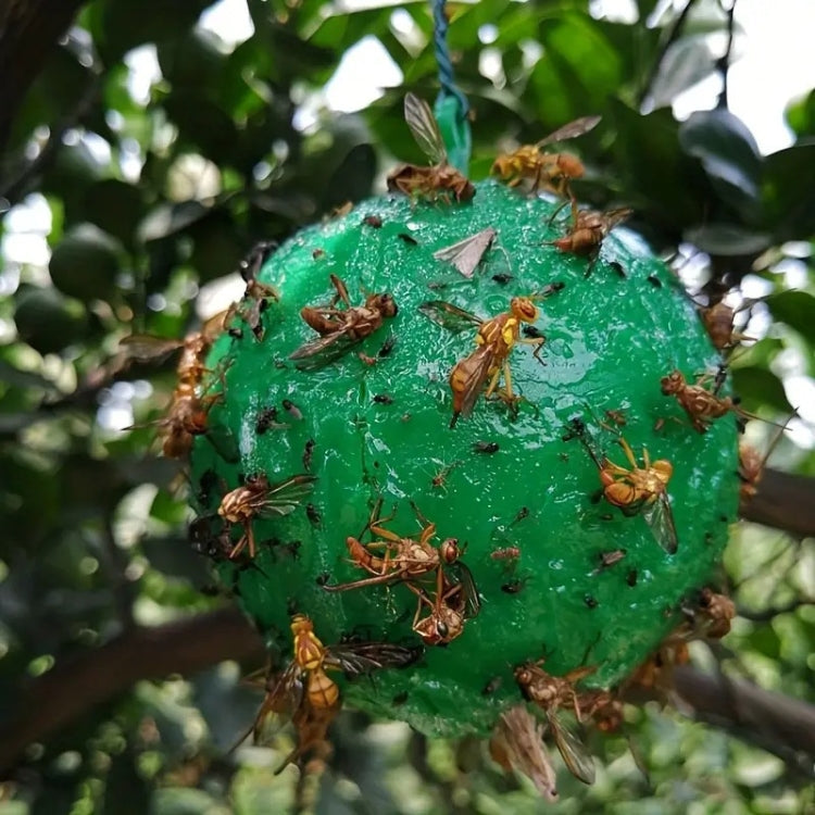 Outdoor Fruit Fly Mosquito Citrus Trap Sticky Ball My Store