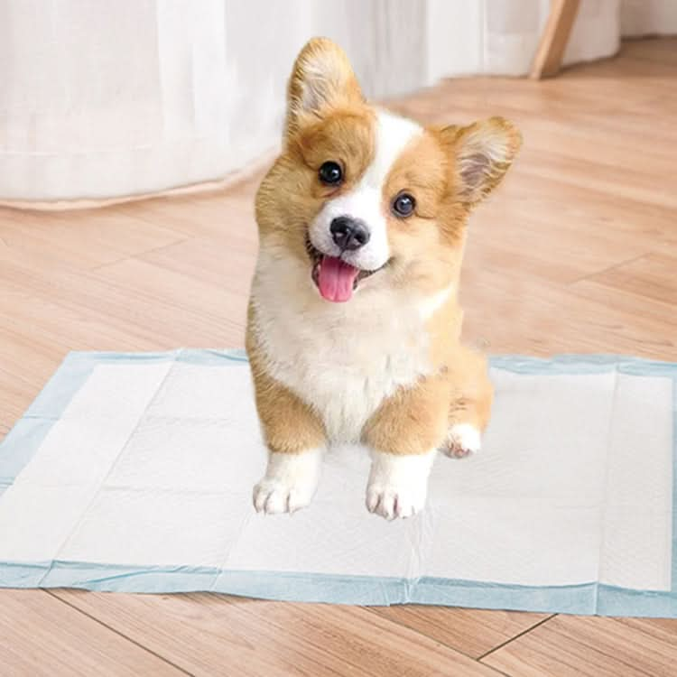 Pet Training Pads Thickened Water-Absorbent Dog Nappy Pad Diaper - Reluova