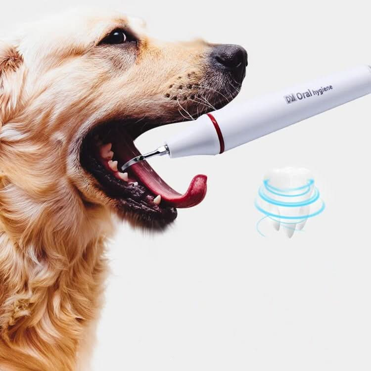 Ultrasonic Dental Washing Machine for Pet Dog Teeth Stone Remover - Reluova