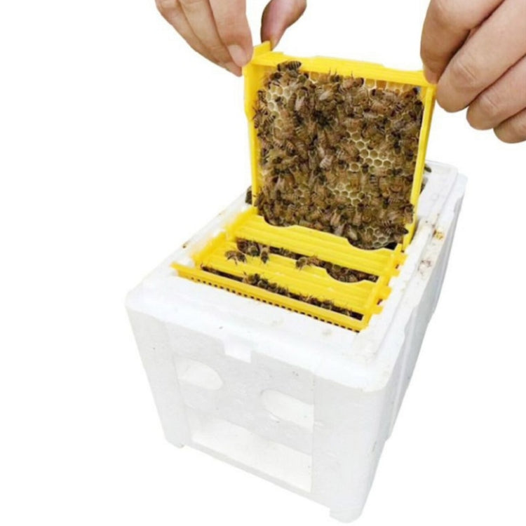 Bee Heading Box Foam Breeding Box Pollination Box My Store