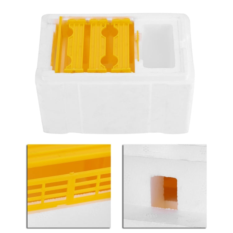 Bee Heading Box Foam Breeding Box Pollination Box My Store