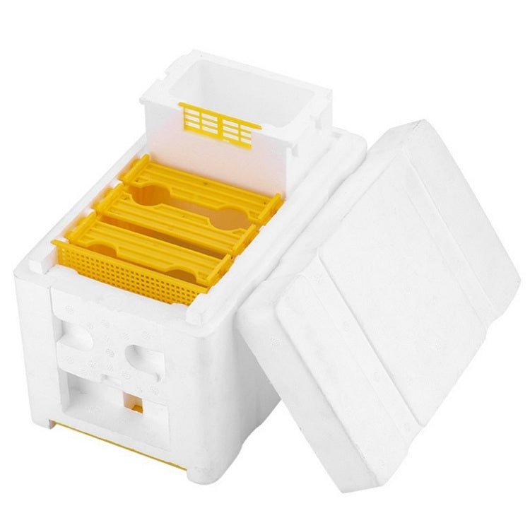 Bee Heading Box Foam Breeding Box Pollination Box