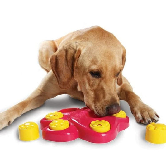 Pet Choke Slow Food Bowl Fun Treasure Hunting Pet Educational Toys - Reluova