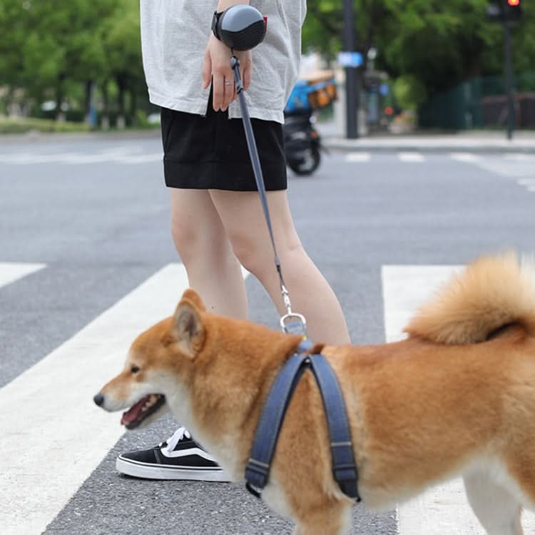 3m Automatic Retractable Wrist-style Pet Nylon Leash(White)-Reluova