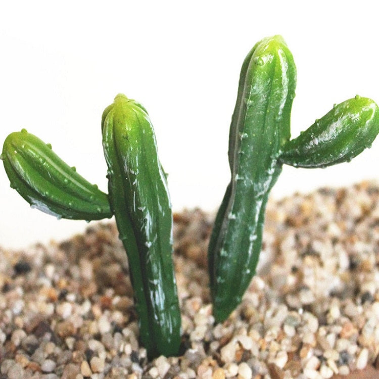 2 PCS Artificial Mini Cactus Garden Landscape Home Office Decoration-Reluova